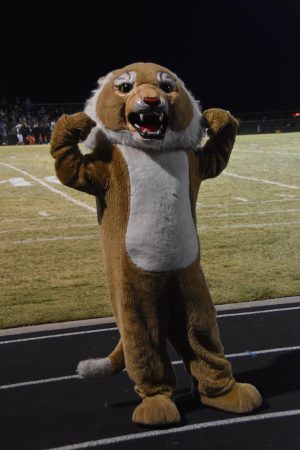 What is a Wampus Cat?