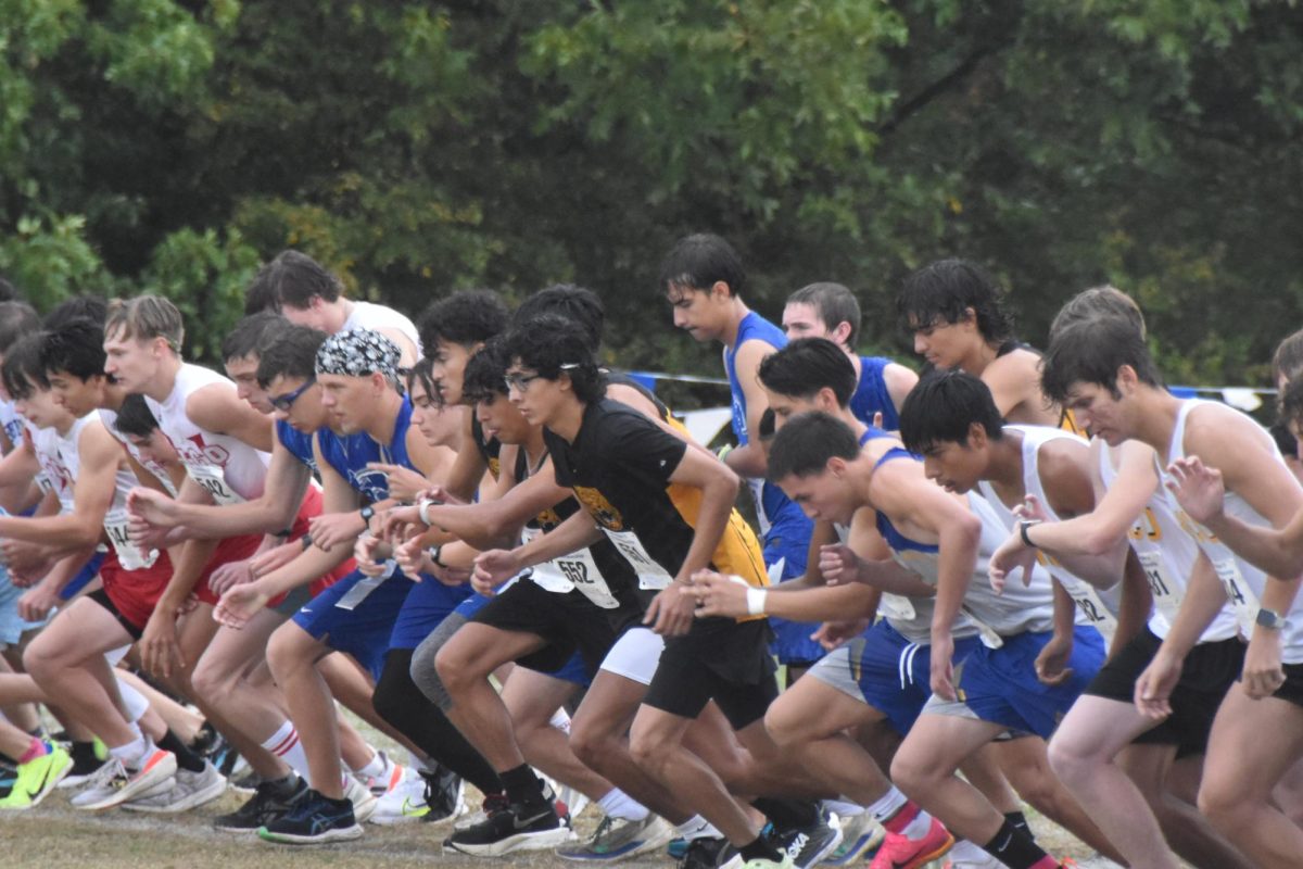 Itasca+Cross+Country+Boys+Regionals+Photo+Gallery