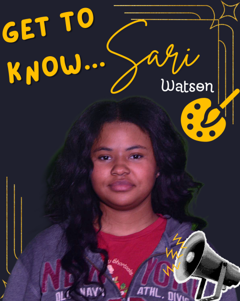 Get to Know... Sari Watson!