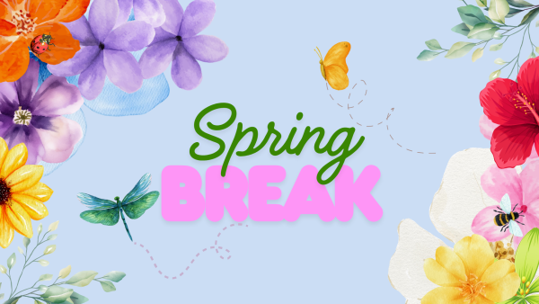 Itasca High's Spring Break Plans!