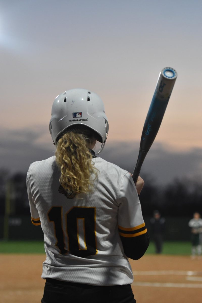 Itasca Softball Review