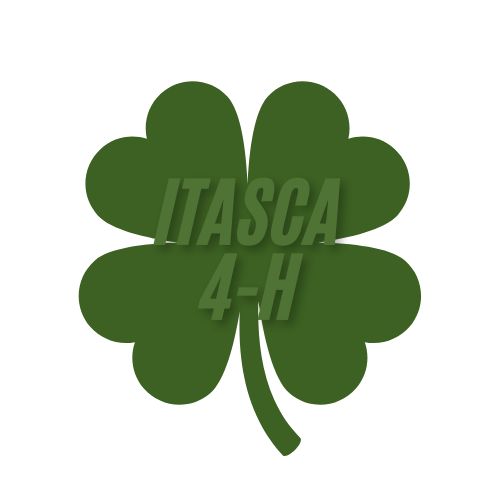 4-H Sign up and Information