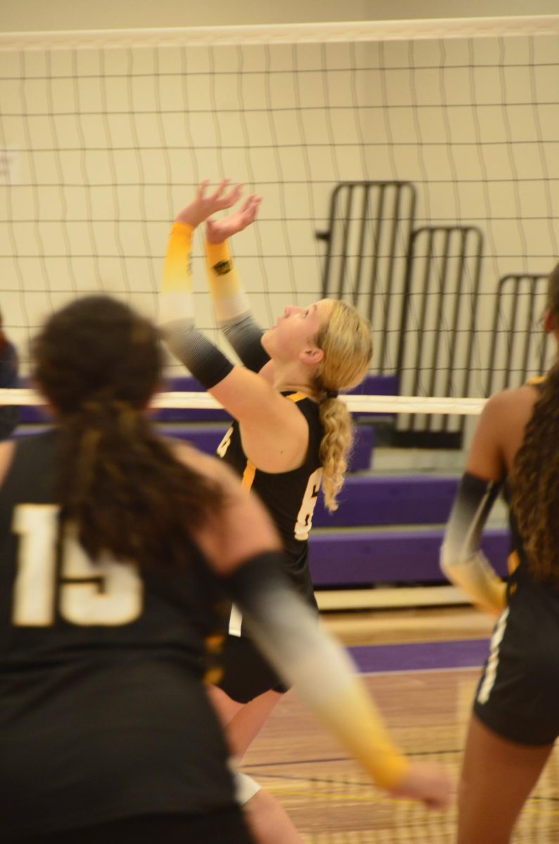 Varsity Volleyball in Mount Calm