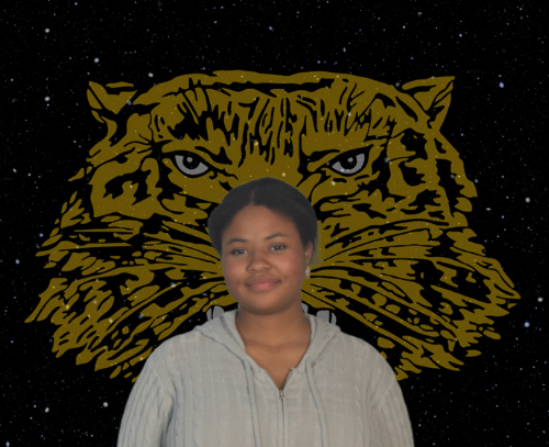 Wampus Cat of the Week - Sari Watson