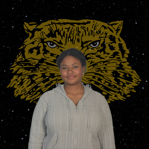 Wampus Cat of the Week! -Sari Watson