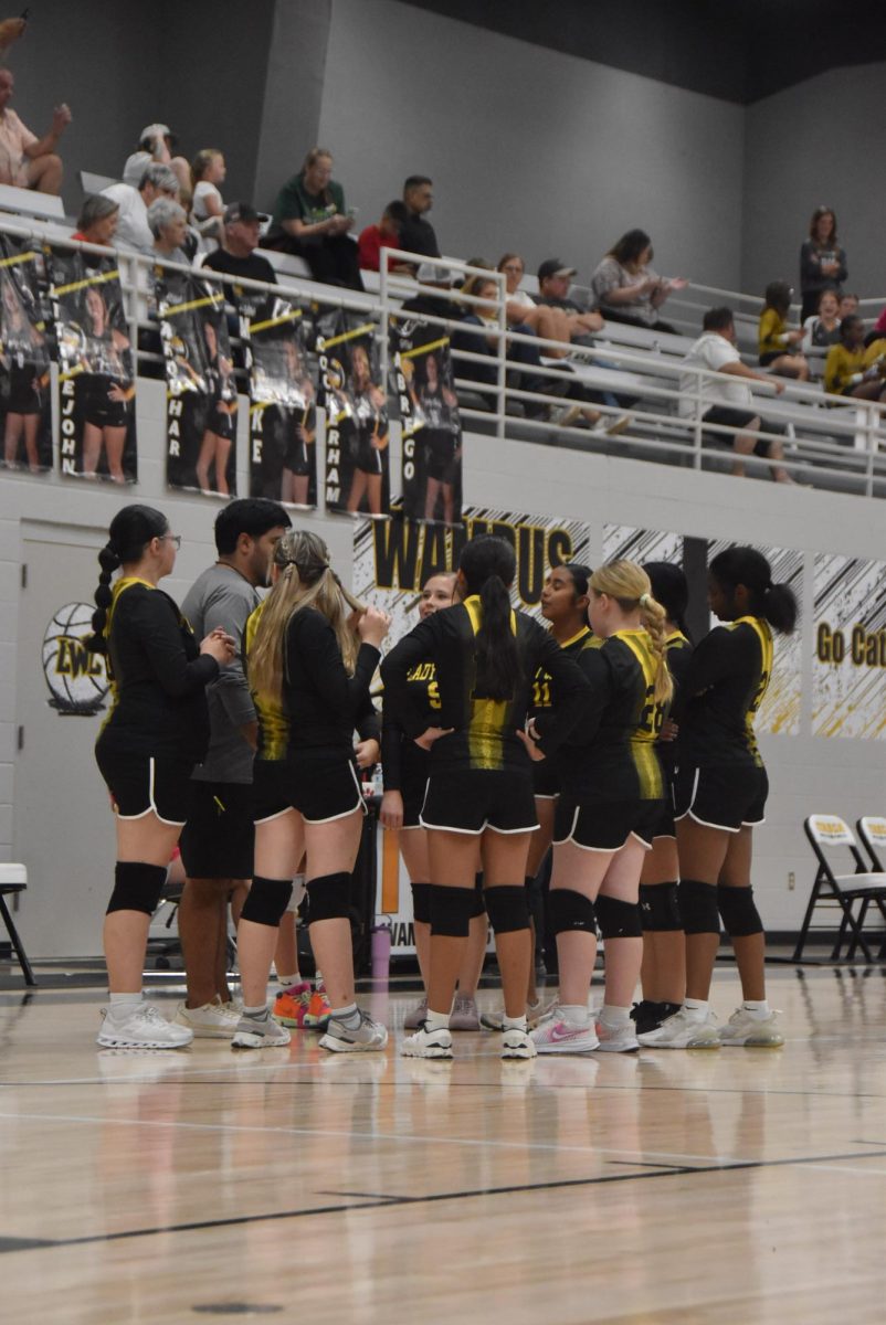 Jv Itasca vs Italy volleyball