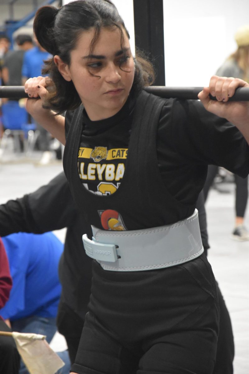 DSC_0017 (4)