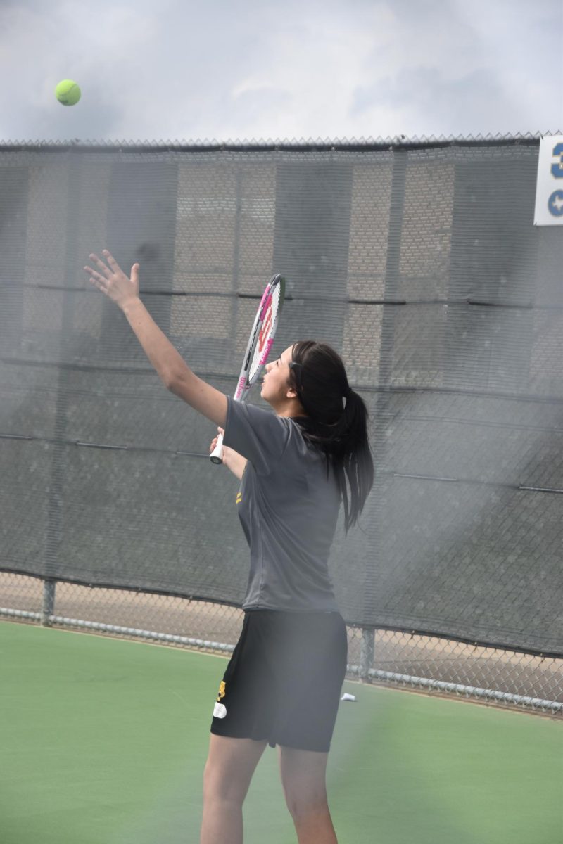 DSC_0340 (1)