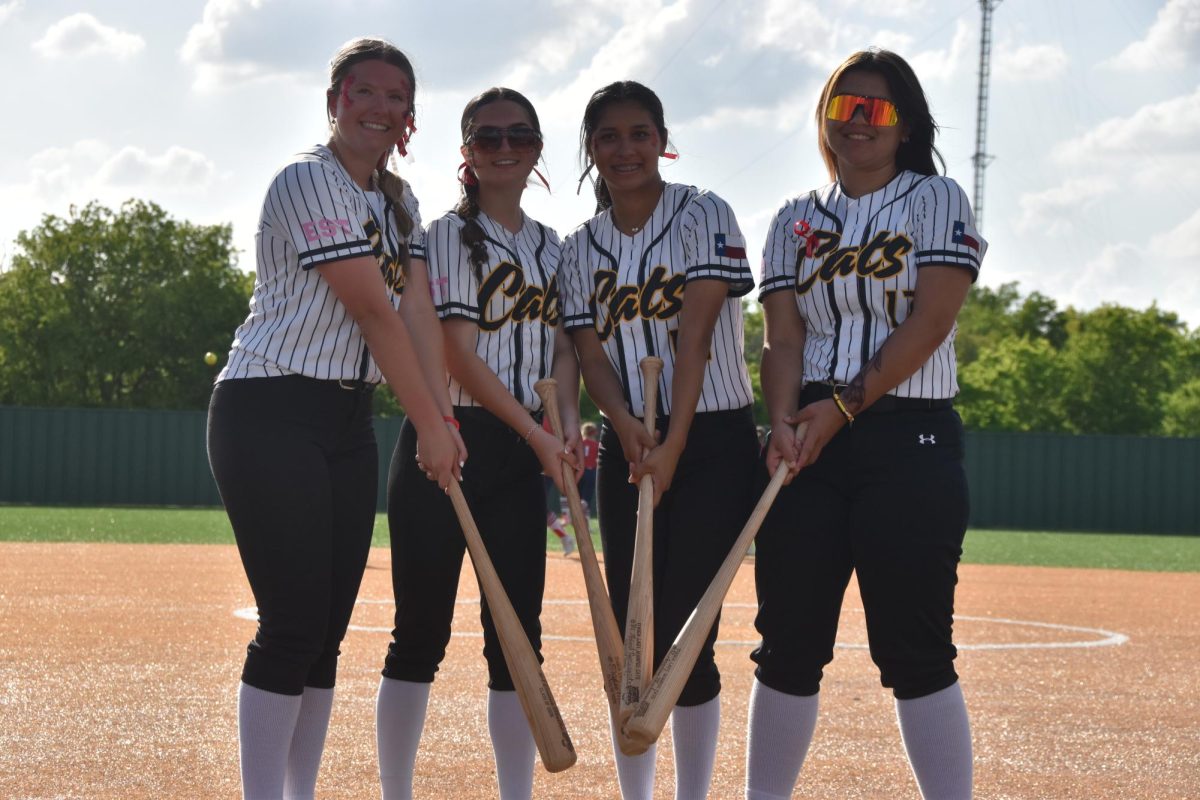 Itasca Softball vs Hico @Home