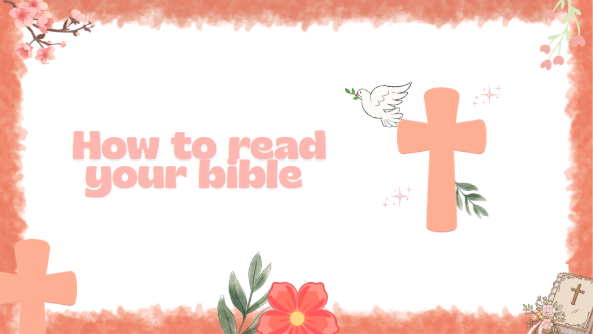 How to Read your Bible