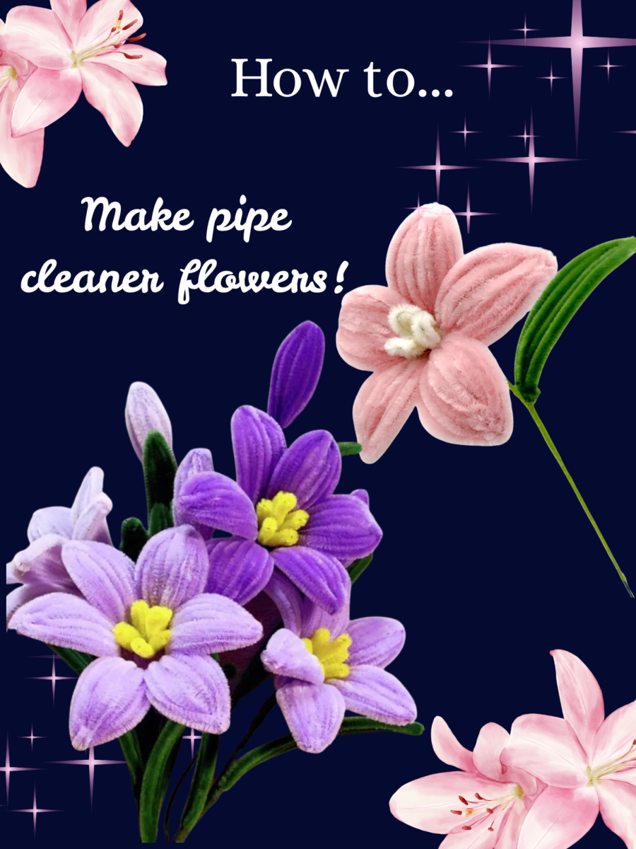 How to Make Pipe Cleaner Flowers!