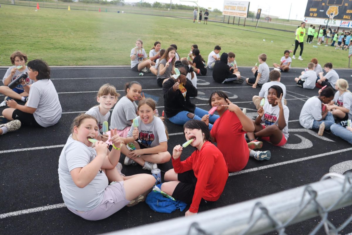 Elementary Field Day